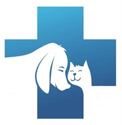 Weterynarz Neo Vet