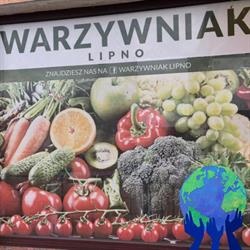 Warzywniak