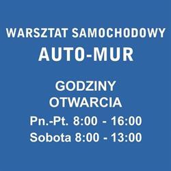 AUTO-MUR warsztat samochodowy