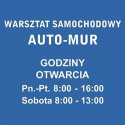AUTO-MUR warsztat samochodowy