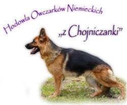 Hodowla "Z Chojniczanki FCI"