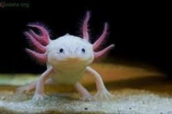 Zoo-Vet Sklep Zoologiczny