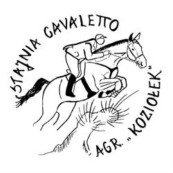 Stajnia Cavaletto- obozy jeździeckie, jazda konna, pensjonat dla koni