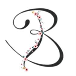 Balerina Salon Obuwia