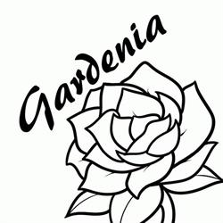 Kwiaciarnia Gardenia u Kuwałków