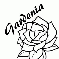 Kwiaciarnia Gardenia u Kuwałków