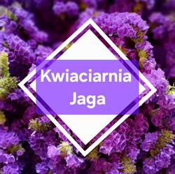 Kwiaciarnia Jaga