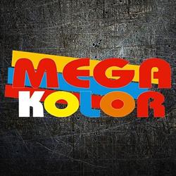 Mega-Kolor Sp. z o.o. Sklep z farbami samochodowymi, przemysłowymi, do mieszań i tynki