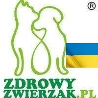 ZdrowyZwierzak.pl