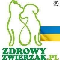 ZdrowyZwierzak.pl