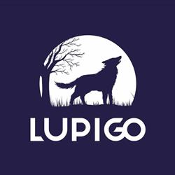 LUPIGO - Agencja Marketingowa Rzeszów