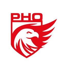 Polski Holding Ochrony