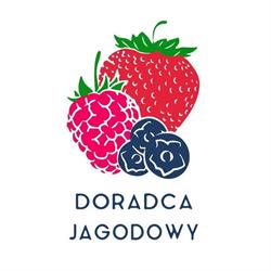 DORADCA JAGODOWY SP Z O O