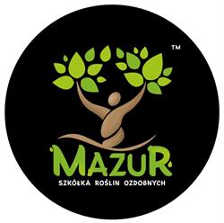Szkółka Roślin Ozdobnych Mazur Korytowo