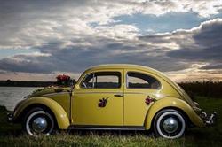 VW Ovalik