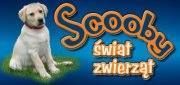 Scooby Świat Zwierząt