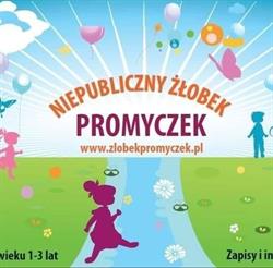 Niepubliczny Żłobek "Promyczek"
