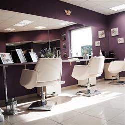 Beauty Lavender Studio Fryzur