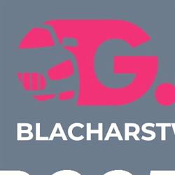 G.MAX Blacharstwo lakiernictwo