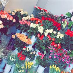 Kwiaciarnia Ikebana
