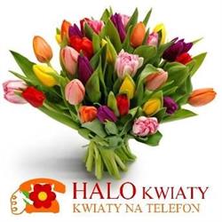 Kwiaciarnia Halokwiaty