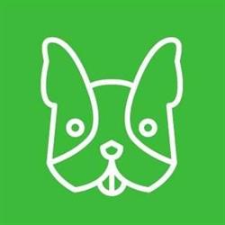 Pet Mobility