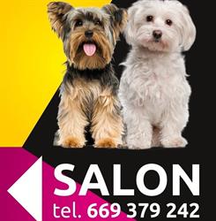 Salon pielęgnacyjny dla zwierząt/Fryzjer/Groomer