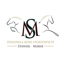 Hodowla Koni Sportowych - Staniek
