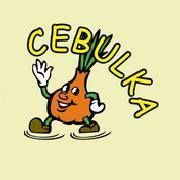 Cebulka