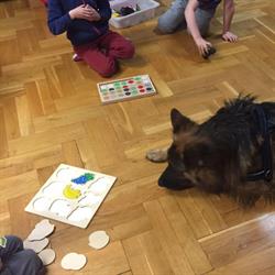 Supeł - pracownia edukacji i terapii