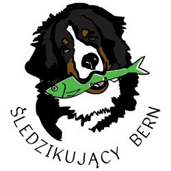 Śledzikujący Bern FCI Kennel