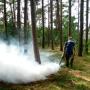 Odkomarzanie Międzywodzie. Zwalczamy komary i kleszcze w Międzywodziu