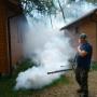 Odkomarzanie Niechorze. Likwidujemy komary i kleszcze w Niechorzu i Pogorzelicy - tel. 506 365 019
