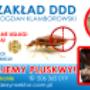 Zwalczamy pluskwy w Świnoujściu i innych miejscowościach