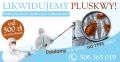 Pluskwy Międzyzdroje. Zwalczamy pluskwy w Międzyzdrojach. Odpluskwianie Międzyzdroje