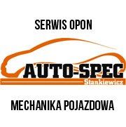 Auto-Spec. D. Stankiewicz