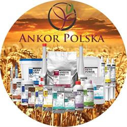 ANKOR POLSKA SP Z O O