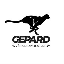 Szkoła jazdy