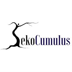 Eko Cumulus