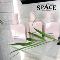 Justyna-SPACE-Nowy-Sacz
