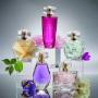 kolekcja EVE perfumy