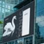 Projekt billboardu