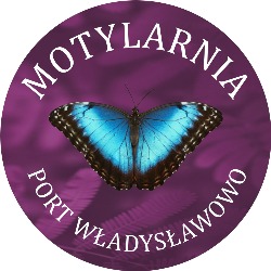 Motylarnia w Porcie Władysławowo