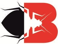 Dezynsekcja Bedbug