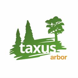 Taxus Arbor