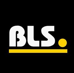 BLS AUTO GALERIA Team Sp. z o.o. Sp k.
