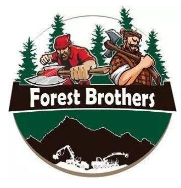 Usługi Leśne Forest Brothers