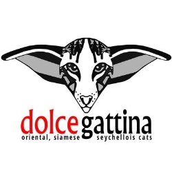 Dolcegattina Cattery