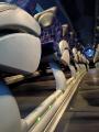 Wynajem autobusów, licencjonowany przewóz osób,