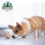 INTERAKTYWNA PIŁKA NA PRZYSMAKI DLA PSA PRIZE ORB MT7102 | Doggy Village